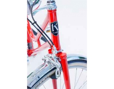 Détail du vélo électrique Klaxon Chat Easy